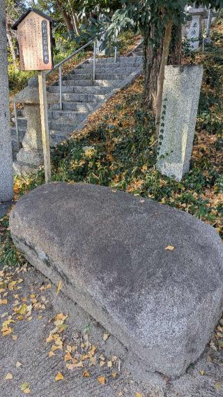 浮津島神社の参拝記録(こまいぬおさん)