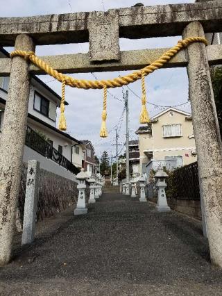 石打八幡神社の参拝記録(さすらいきゃんぱさん)