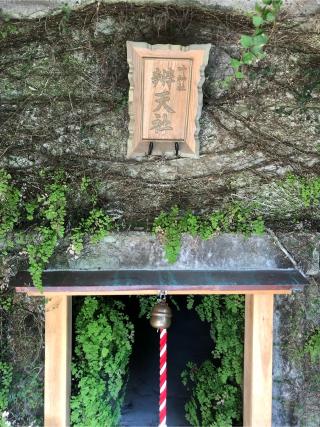 辨天社(東叶神社境内社)の参拝記録(こーちんさん)