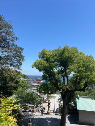 別宮(走水神社境内社)の参拝記録(⛩️🐍🐢まめ🐢🐍⛩️さん)