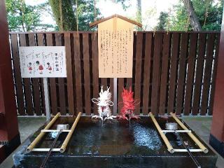 雷電社（伊豆山神社）の参拝記録(yukiさん)