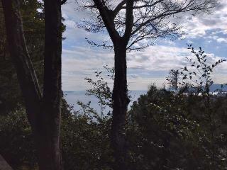 雷電社（伊豆山神社境内社）の参拝記録(りゅうじさん)