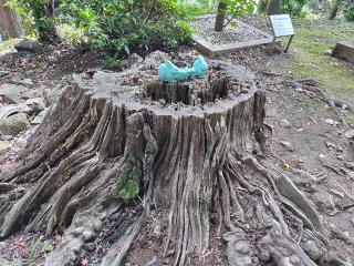 結明神社（伊豆山神社）の参拝記録(優雅さん)