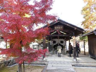 仁和寺 水掛不動尊の参拝記録(監督まっちゃんさん)
