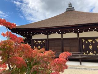 仁和寺 御影堂の参拝記録(はるさん)