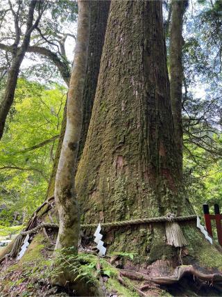 私市社・林田社(貴船神社末社)の参拝記録(⛩️🐍🐢まめ🐢🐍⛩️さん)