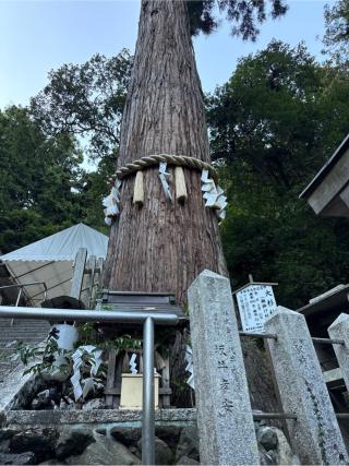大杉社（由岐神社）の参拝記録(⛩️🎠🐢まめ🐢🎠⛩️さん)