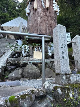 大杉社（由岐神社）の参拝記録(⛩️🎠🐢まめ🐢🎠⛩️さん)