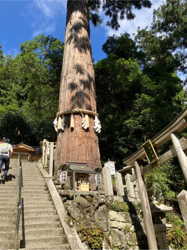 大杉社（由岐神社）の参拝記録4