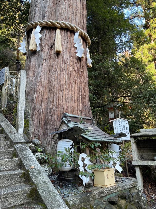 大杉社（由岐神社）の参拝記録3