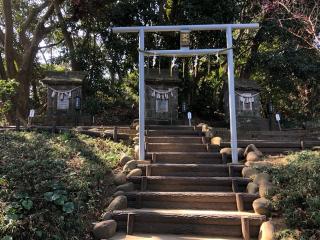 須賀神社(走水神社境内社)の参拝記録(こーちんさん)