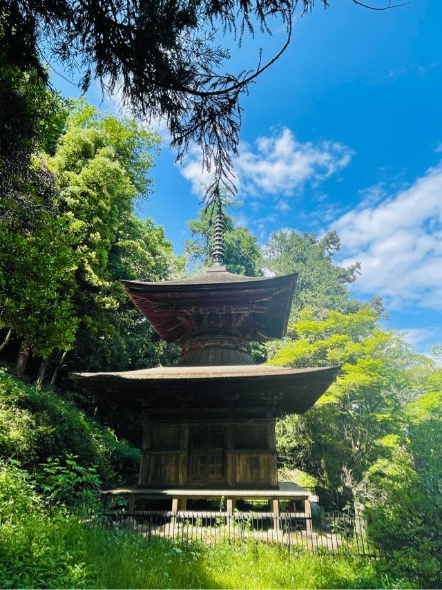 金鑚神社 多宝塔の参拝記録(shikigami_hさん)