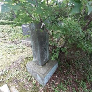 見立神社（那須温泉神社）の参拝記録(三毛猫さん)