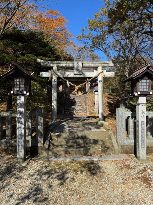 見立神社（那須温泉神社境内）の参拝記録4