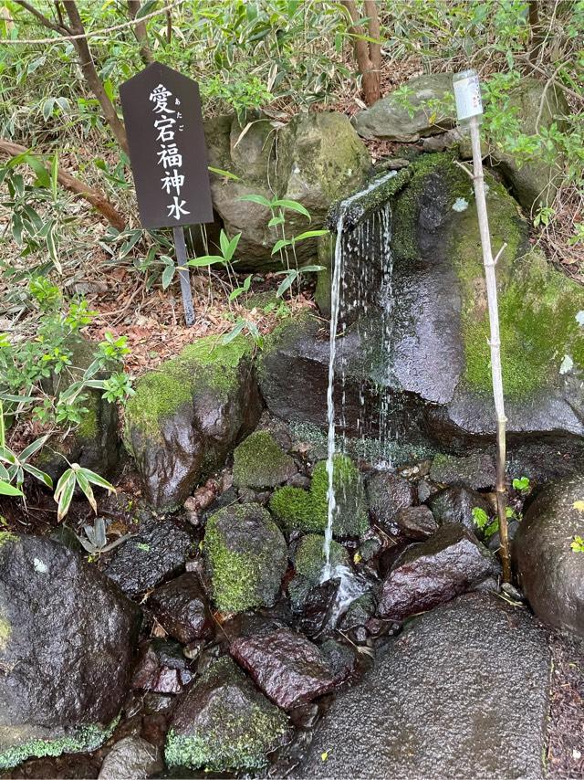 栃木県那須郡那須町湯本１８２ 愛宕神社（那須温泉神社）の写真4
