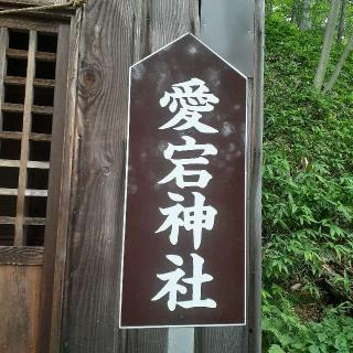 愛宕神社（那須温泉神社）の参拝記録(三毛猫さん)