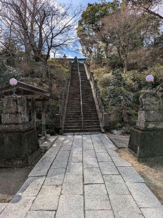 達磨寺 達磨堂の参拝記録(BakaUminekoさん)