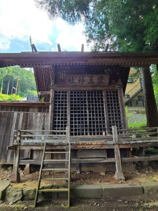 蠶玉神社の参拝記録(三毛猫さん)