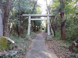 四津山神社の参拝記録(達也さん)