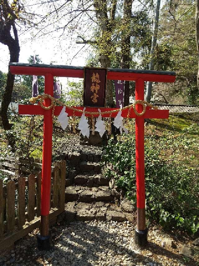 栃木県佐野市富士町1409 龍神宮（唐澤山神社）の写真2