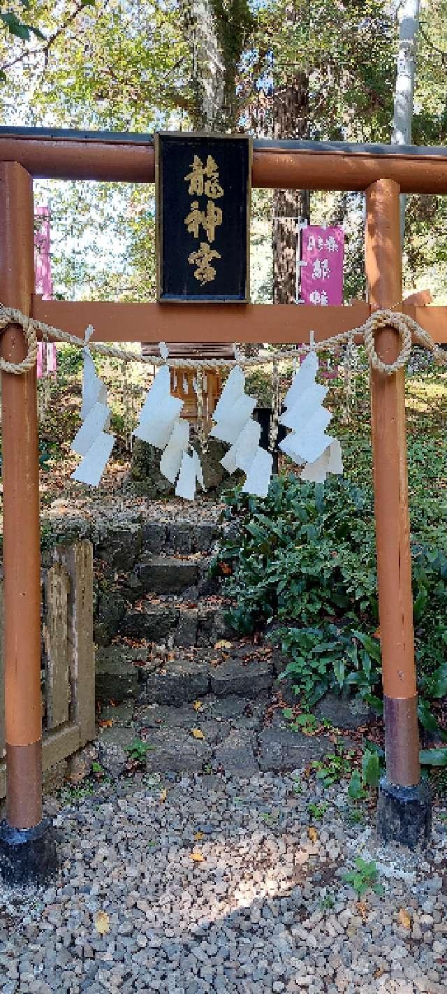 龍神宮（唐澤山神社）の参拝記録6