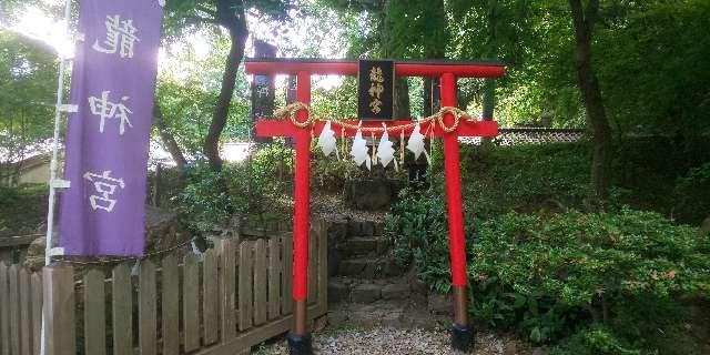 龍神宮（唐澤山神社）の参拝記録2
