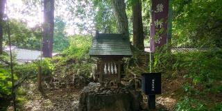 龍神宮（唐澤山神社）の参拝記録(優雅さん)