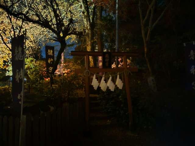 龍神宮（唐澤山神社境内社）の参拝記録1