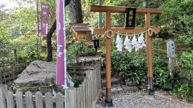 龍神宮（唐澤山神社）の参拝記録9