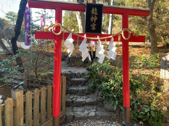 龍神宮（唐澤山神社）の参拝記録10