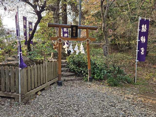 龍神宮（唐澤山神社）の参拝記録5