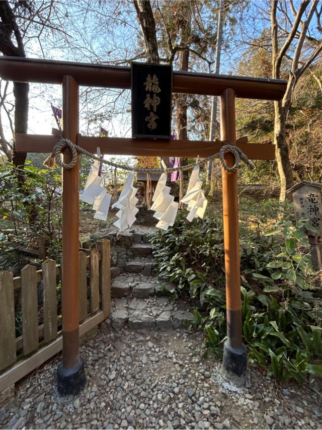 龍神宮（唐澤山神社境内社）の参拝記録7
