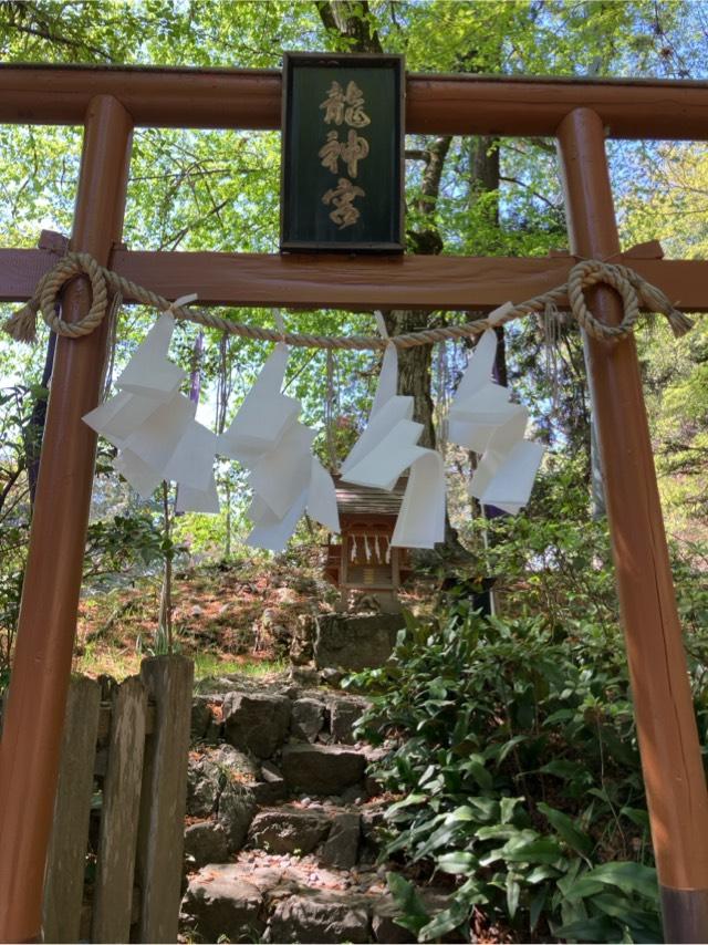 龍神宮（唐澤山神社境内社）の参拝記録7