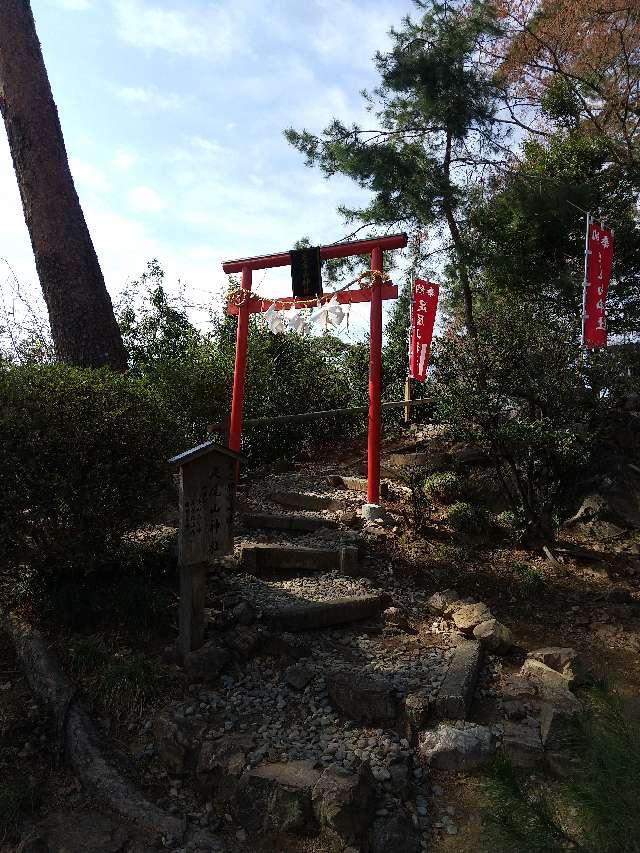 栃木県佐野市富士町1409 足尾山神社（唐沢山神社）の写真2