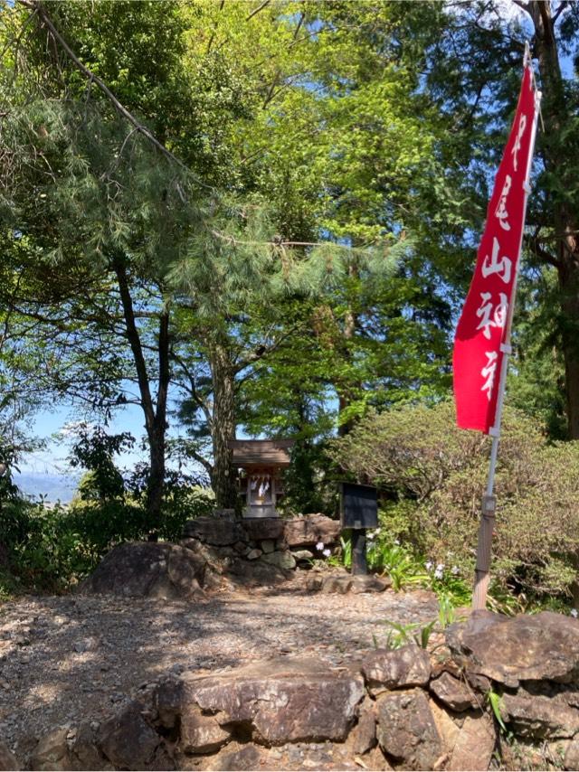 足尾山神社（唐沢山神社境内社）の参拝記録6