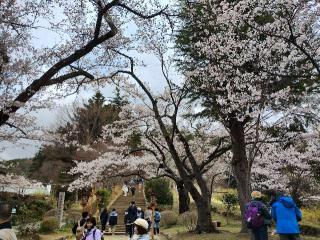 荒浜神社(新倉富士浅間神社境内社)の参拝記録(たけさん)