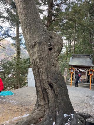 荒浜神社(新倉富士浅間神社境内社)の参拝記録(⛩️🐍🐢まめ🐢🐍⛩️さん)