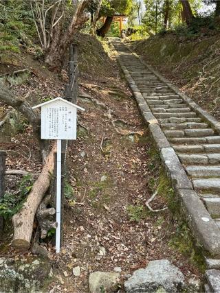 神龍社(吉田神社末社)の参拝記録(こーちんさん)