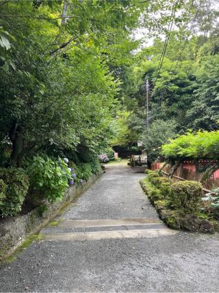 天神社(富士山本宮浅間大社末社)の参拝記録(⛩️🐍🐢まめ🐢🐍⛩️さん)