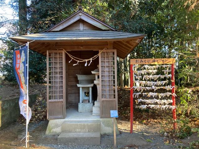 八坂神社（下野星宮神社境内）の参拝記録5