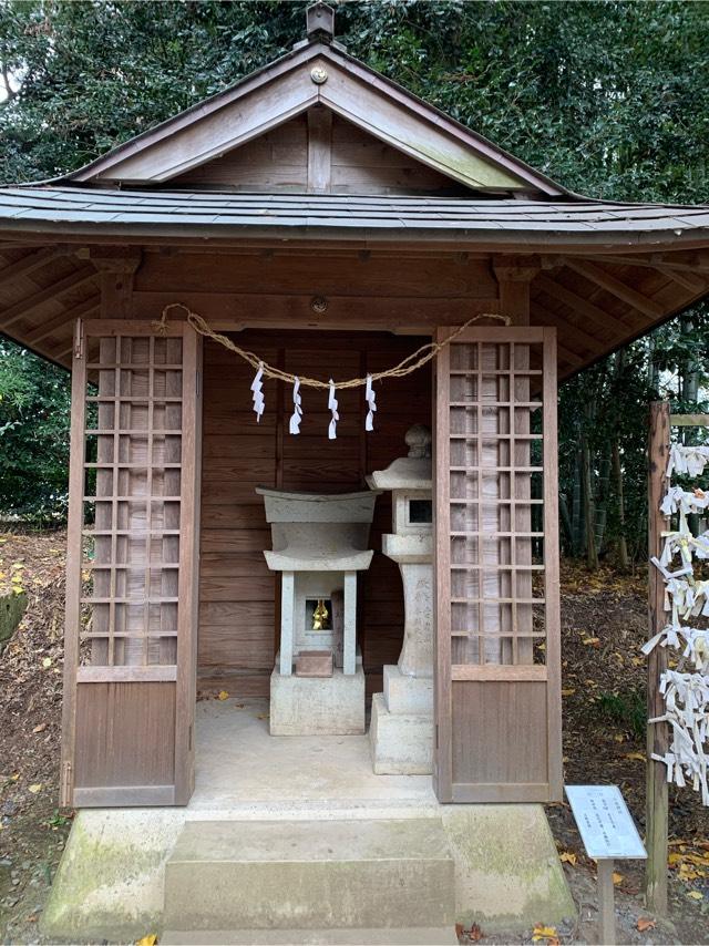 八坂神社（下野星宮神社境内）の参拝記録6