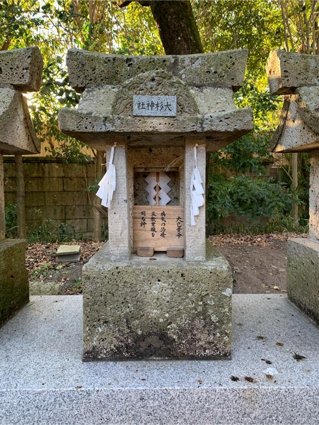 大杉神社(平柳星宮神社境内社)の参拝記録(やまけんさん)