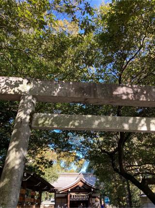 田縣神社奥宮（田縣神社）の参拝記録(恭子さん)