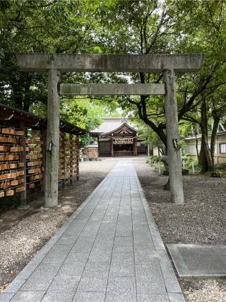 田縣神社奥宮（田縣神社）の参拝記録(もみじさん)