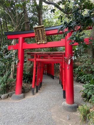 高座稲荷社（高座結御子神社境内）の参拝記録(シャモさん)