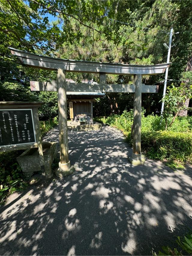 子安神社(御穂神社境内社)の参拝記録8