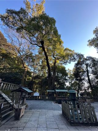 神廟(久能山東照宮境内)の参拝記録(牛丼じじいさん)