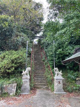 浅間神社の参拝記録(ねこチャリさん)