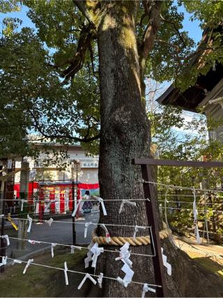 稲荷社（溝口神社境内）の参拝記録(⛩️🎠🐢まめ🐢🎠⛩️さん)