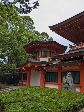 尊星殿（千葉神社）の参拝記録(はしどいさん)